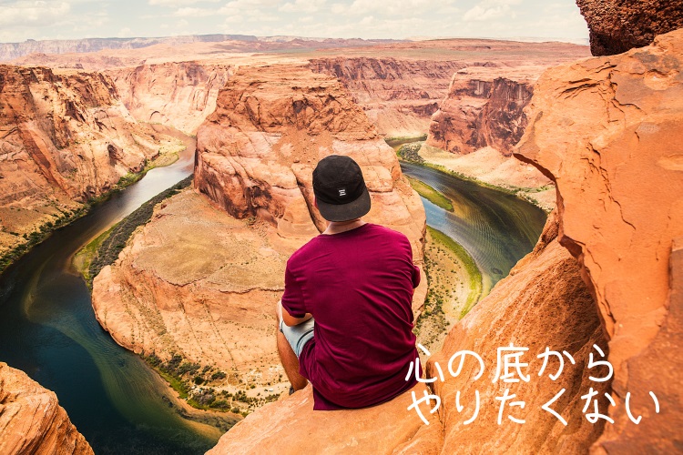 心のそこからやりたくない