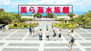 美ら海水族館 介助 介護 情報